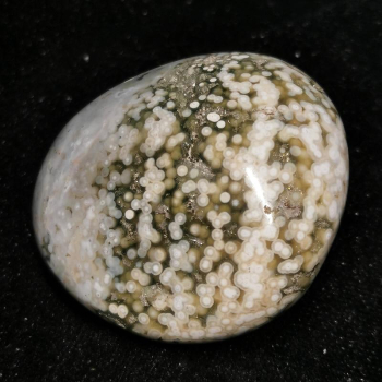 Freeform Orbicular Ocean Jaspis